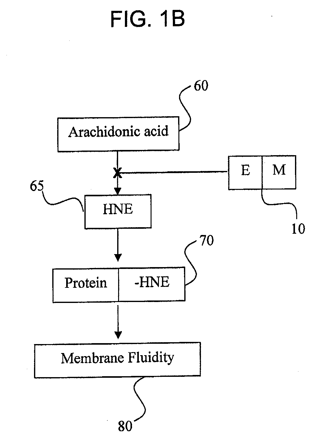 Methods and Compositions for Treating Inflammation and Inflammation-Related Pathologies