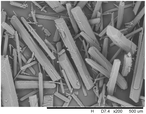 A kind of preparation method of thiamine nitrate massive crystal product