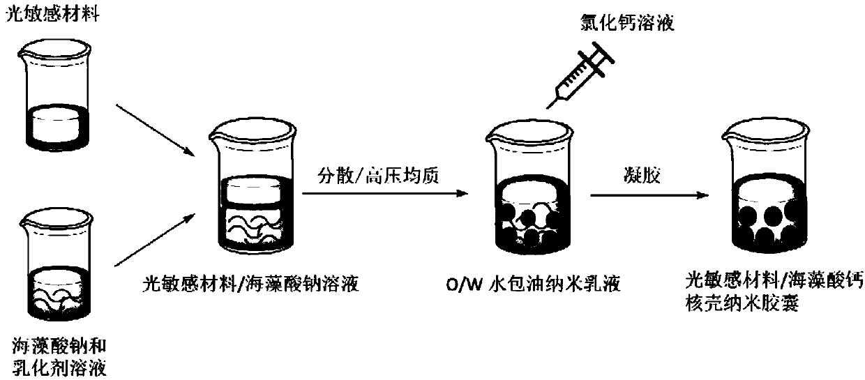 Light sensitive material/calcium alginate core-shell nanocapsule dispersoid and preparation method thereof