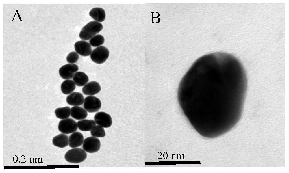 A kind of sers detection method of aureomycin hydrochloride