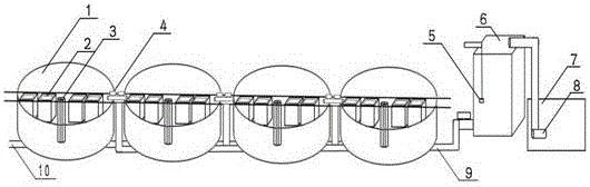 Device and method for culturing of whitman pipa seedlings by microflow water circulation type grid