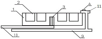 Device and method for culturing of whitman pipa seedlings by microflow water circulation type grid