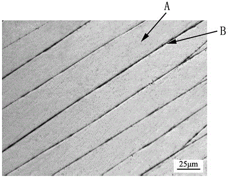 Method for observing inner shearing zone of zirconium base amorphous alloy