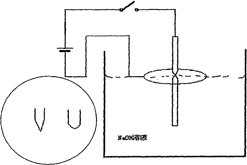 Method and device for preparing pinpoint of scanning tunnel microscope (STM)