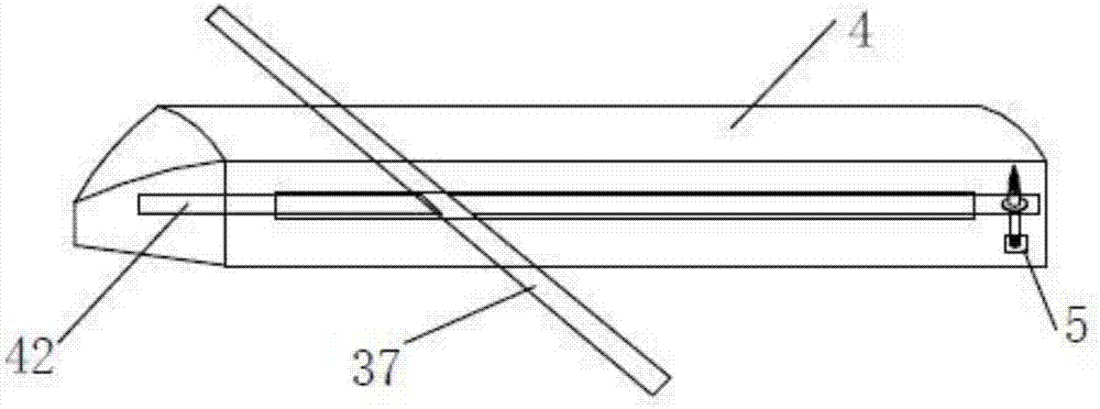 pig slaughtering equipment