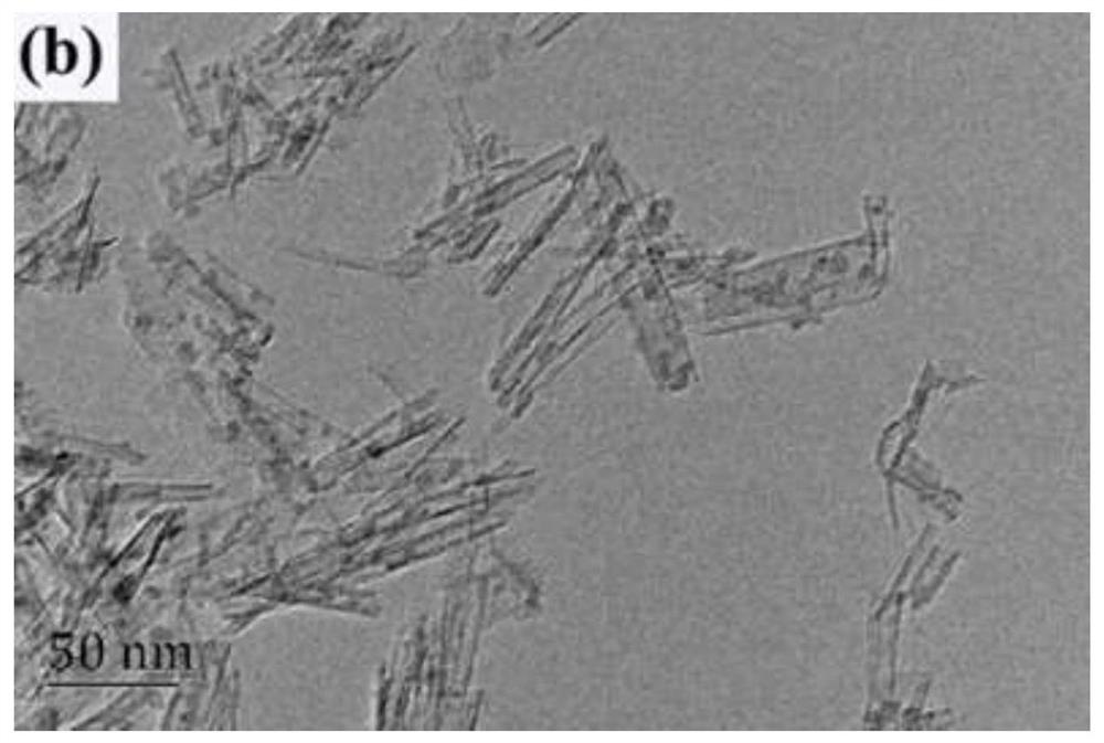 Preparation method of cadmium zinc sulfide-titanic acid nanotube composite photocatalyst