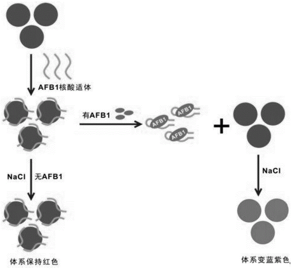 Label-free visualization detection method and label-free visualization detection kit of aflatoxin B1