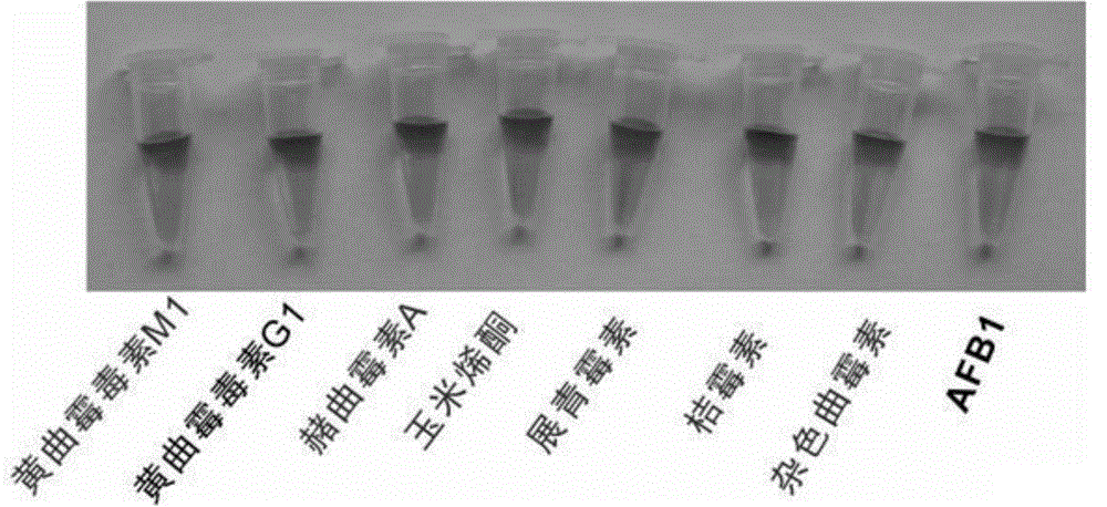 Label-free visualization detection method and label-free visualization detection kit of aflatoxin B1