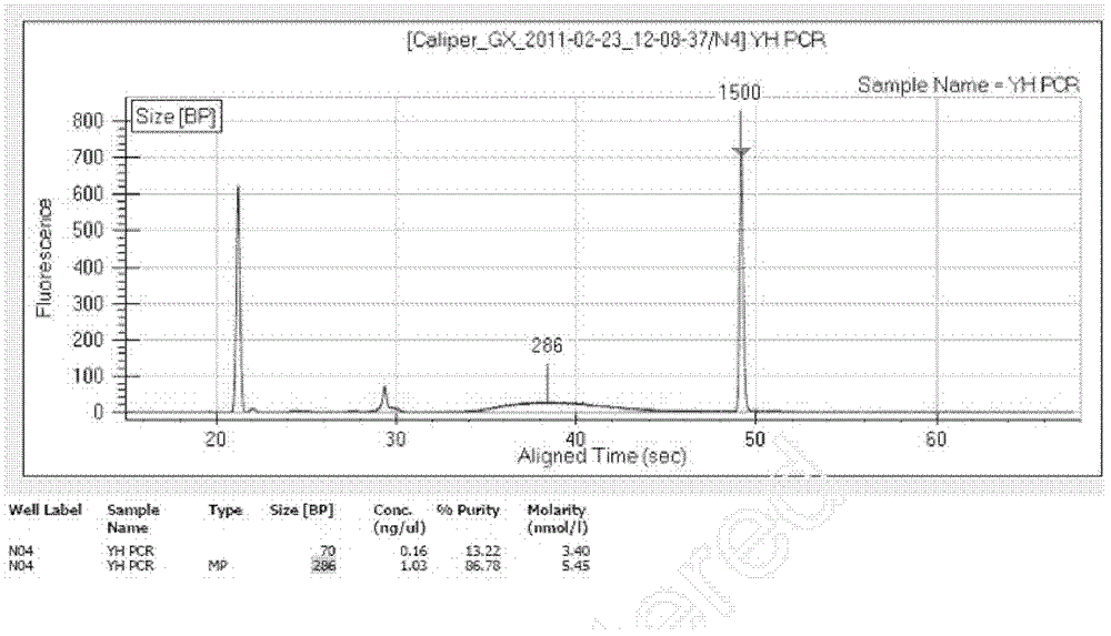 Methylation high-flux detection method