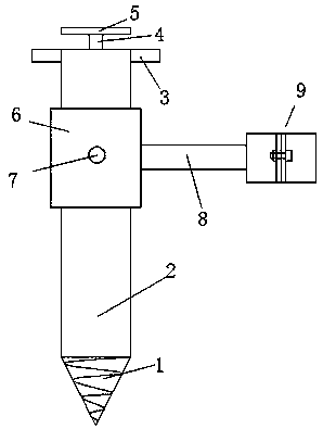 Tree centralizing device for municipal greening