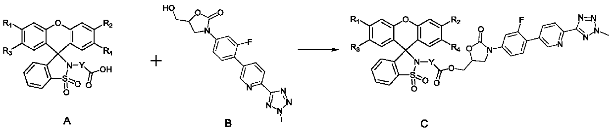 Tedizolid antibiotic tracing fluorescent probe and application thereof