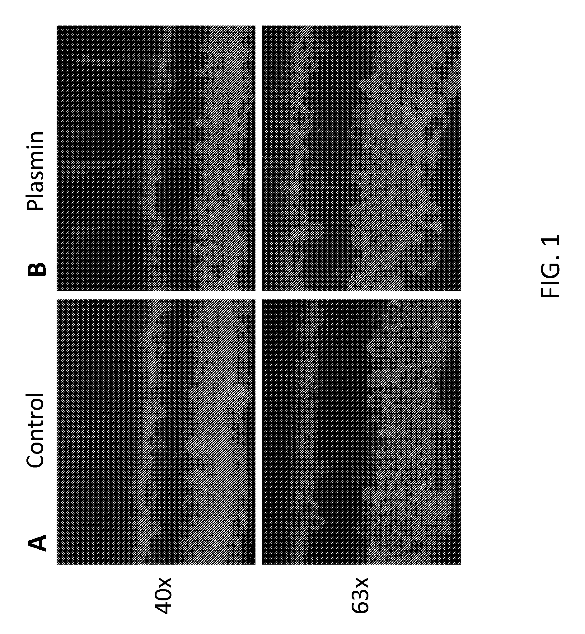 Method of Enhancing Delivery of Therapeutic Compounds to the Eye