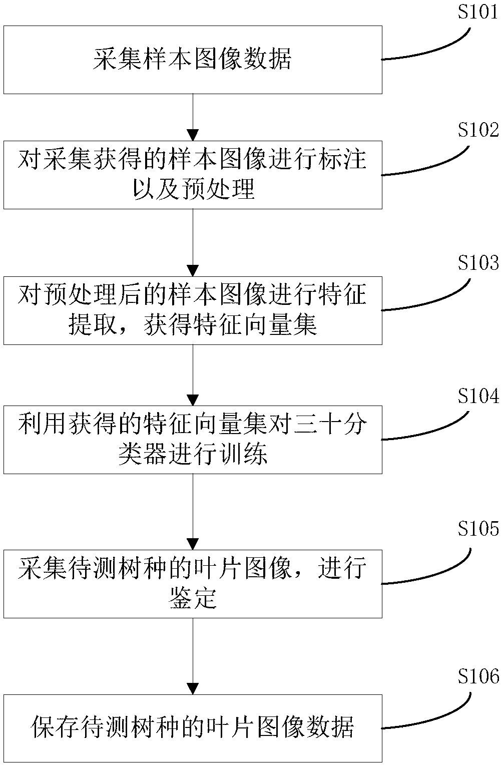 Tree species classification method and system based on deep learning