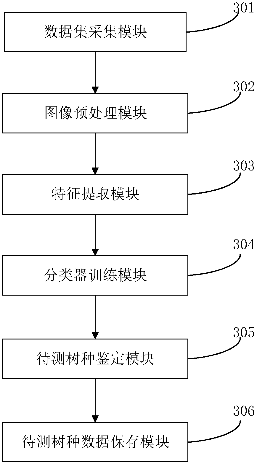 Tree species classification method and system based on deep learning