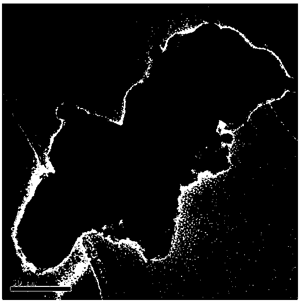 A Ferromagnetic Nanoparticle α‑Fe with Iron Defects  <sub>2</sub> o  <sub>3</sub> and its preparation method