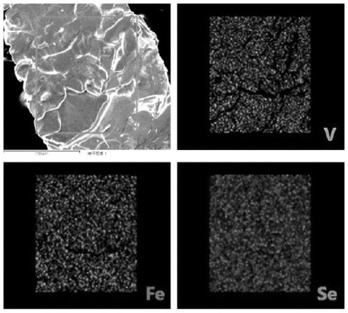 Transition group element doped room-temperature ferromagnetic two-dimensional material and preparation method thereof