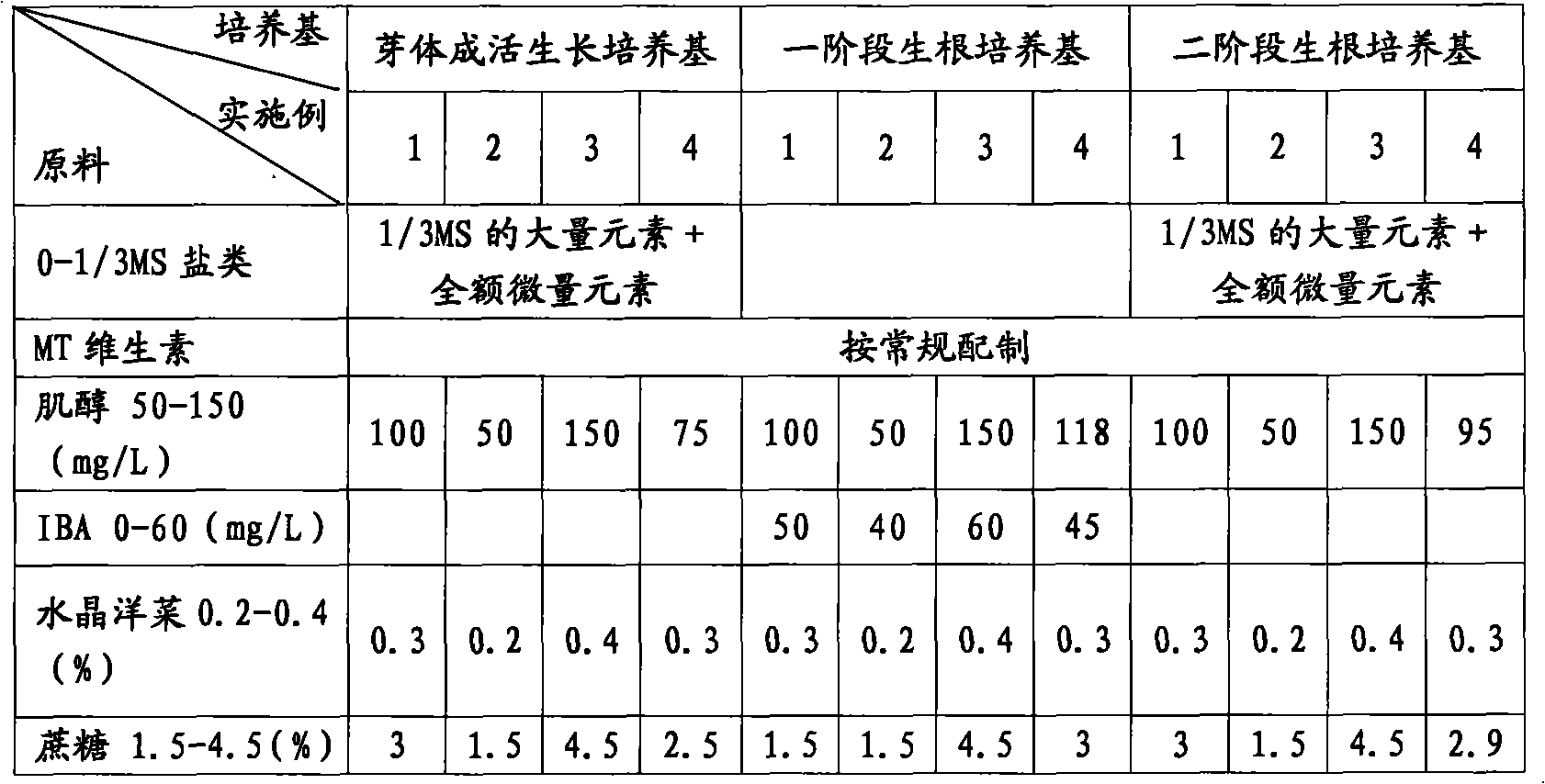 Putuo hornbeam gemma culture medium and tissue culture rapid propagation method