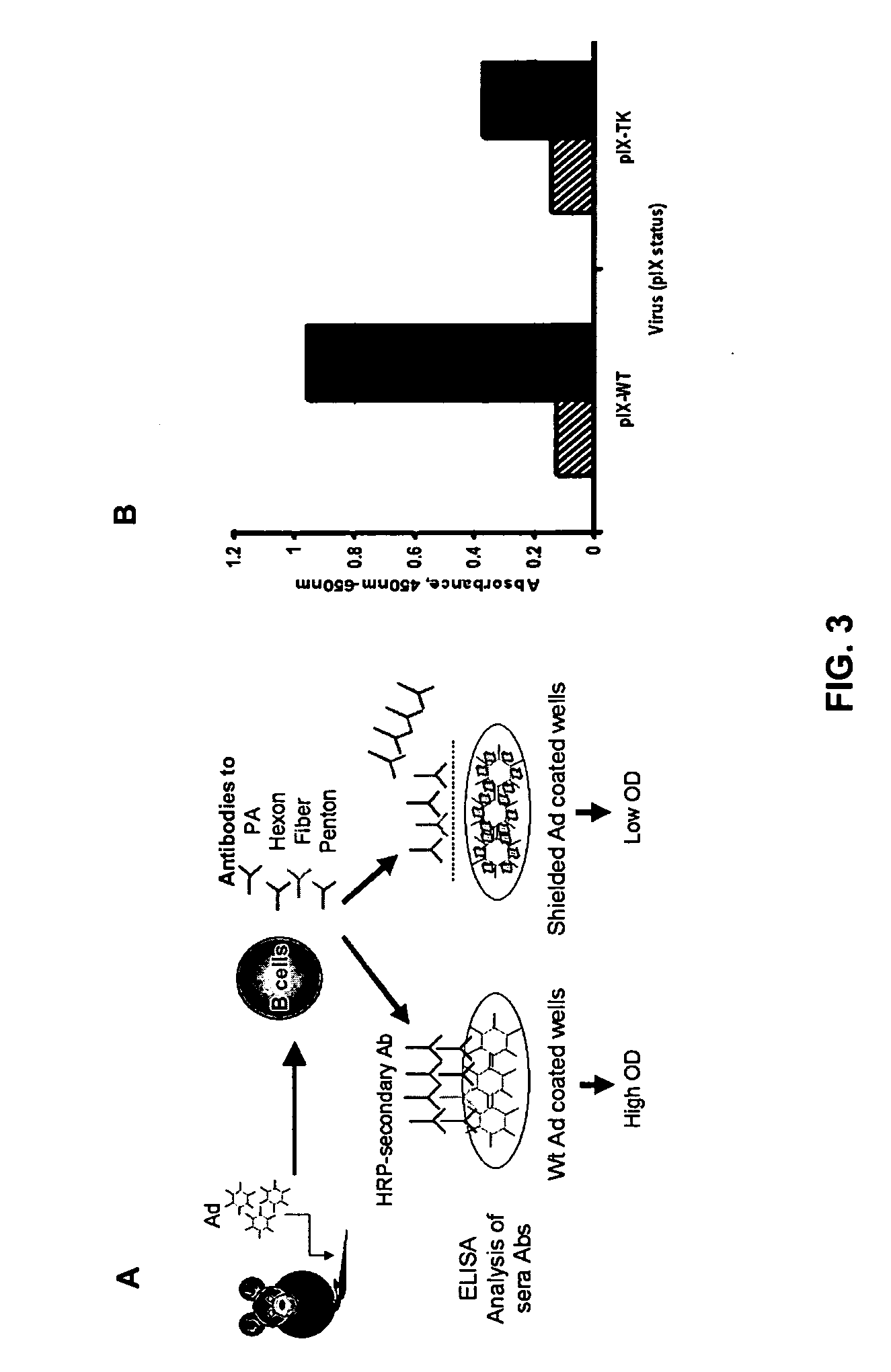 Shielded adenoviral vectors and methods of use