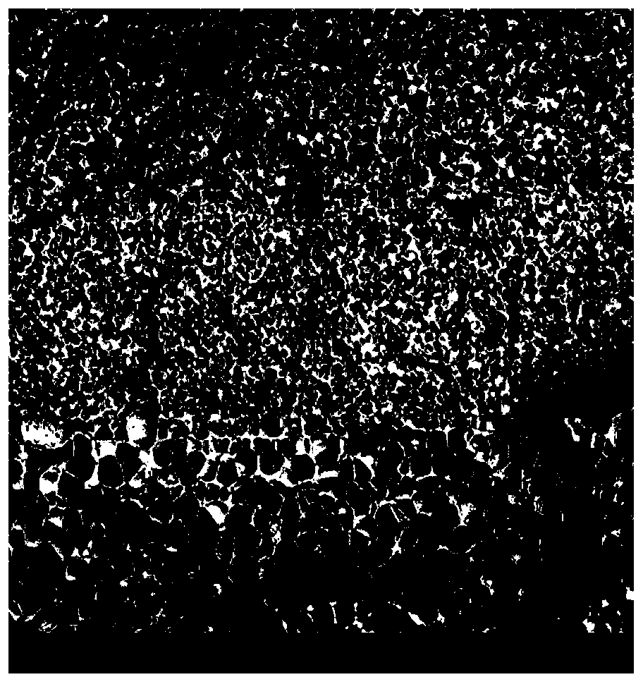 A kind of preparation method of polymer-based density gradient foam material