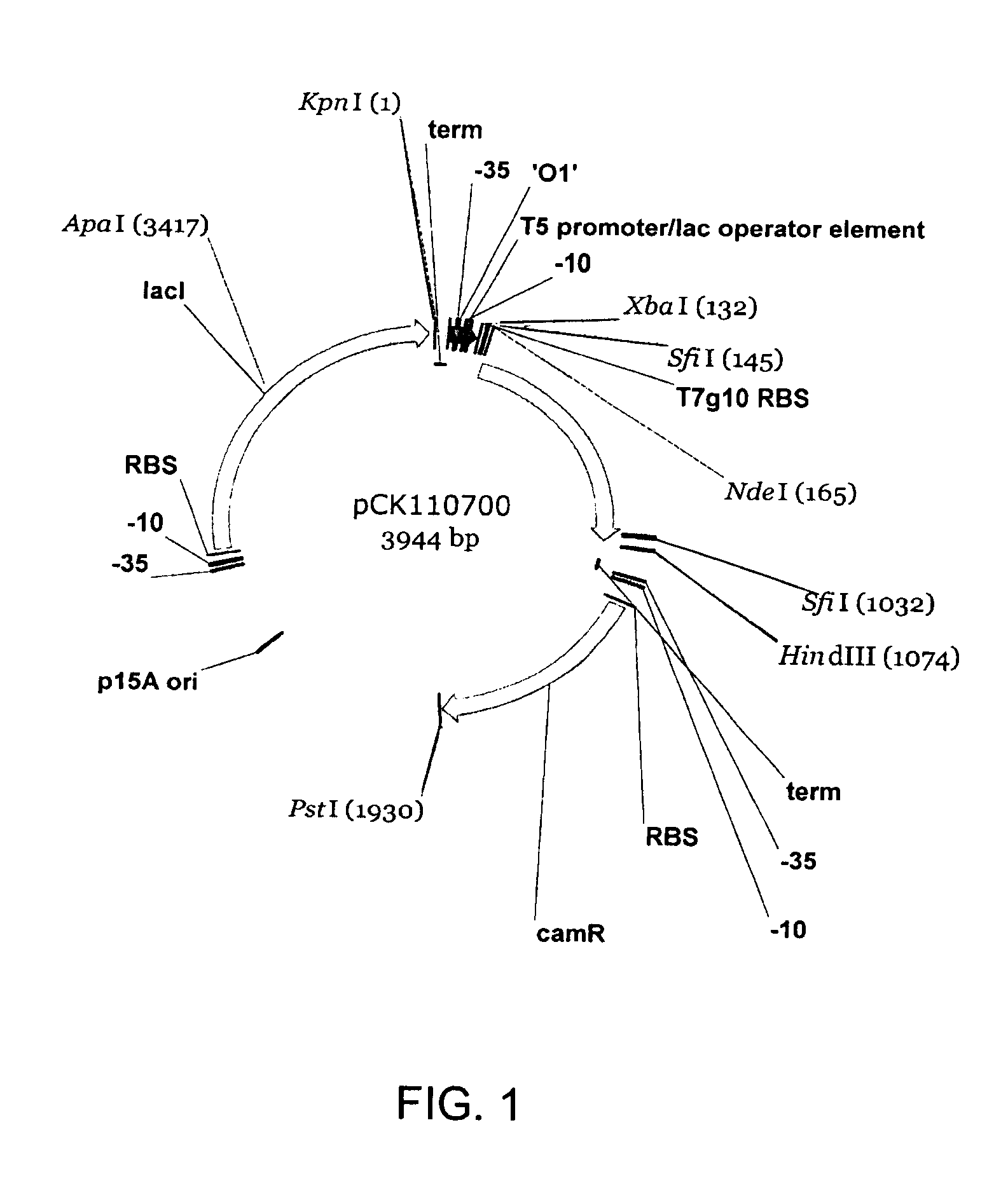 Halohydrin dehalogenases and related polynucleotides