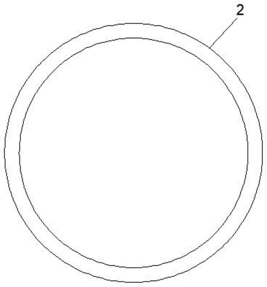 Iron-based alloy degradable aorta stent for treating infant aortic constriction