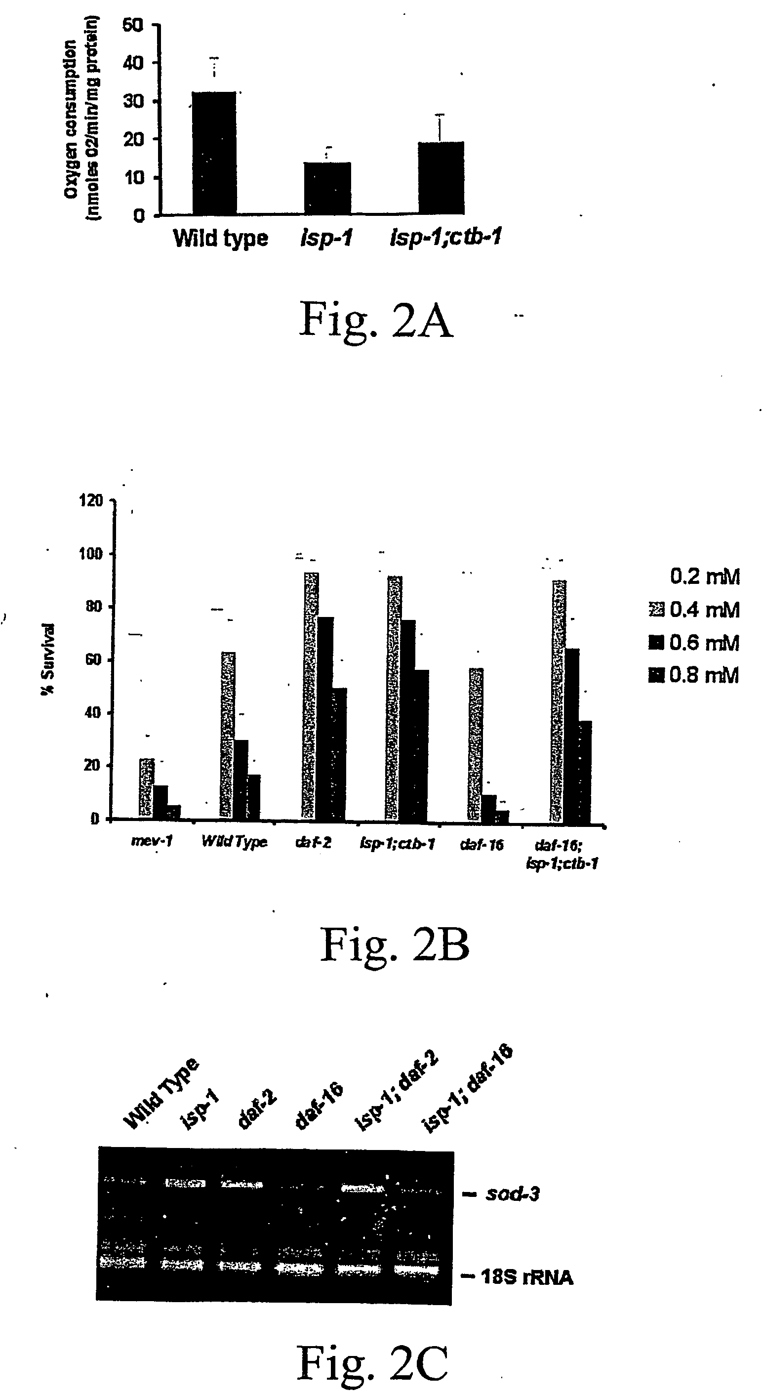 Isp-1 and ctb-1 genes and uses thereof