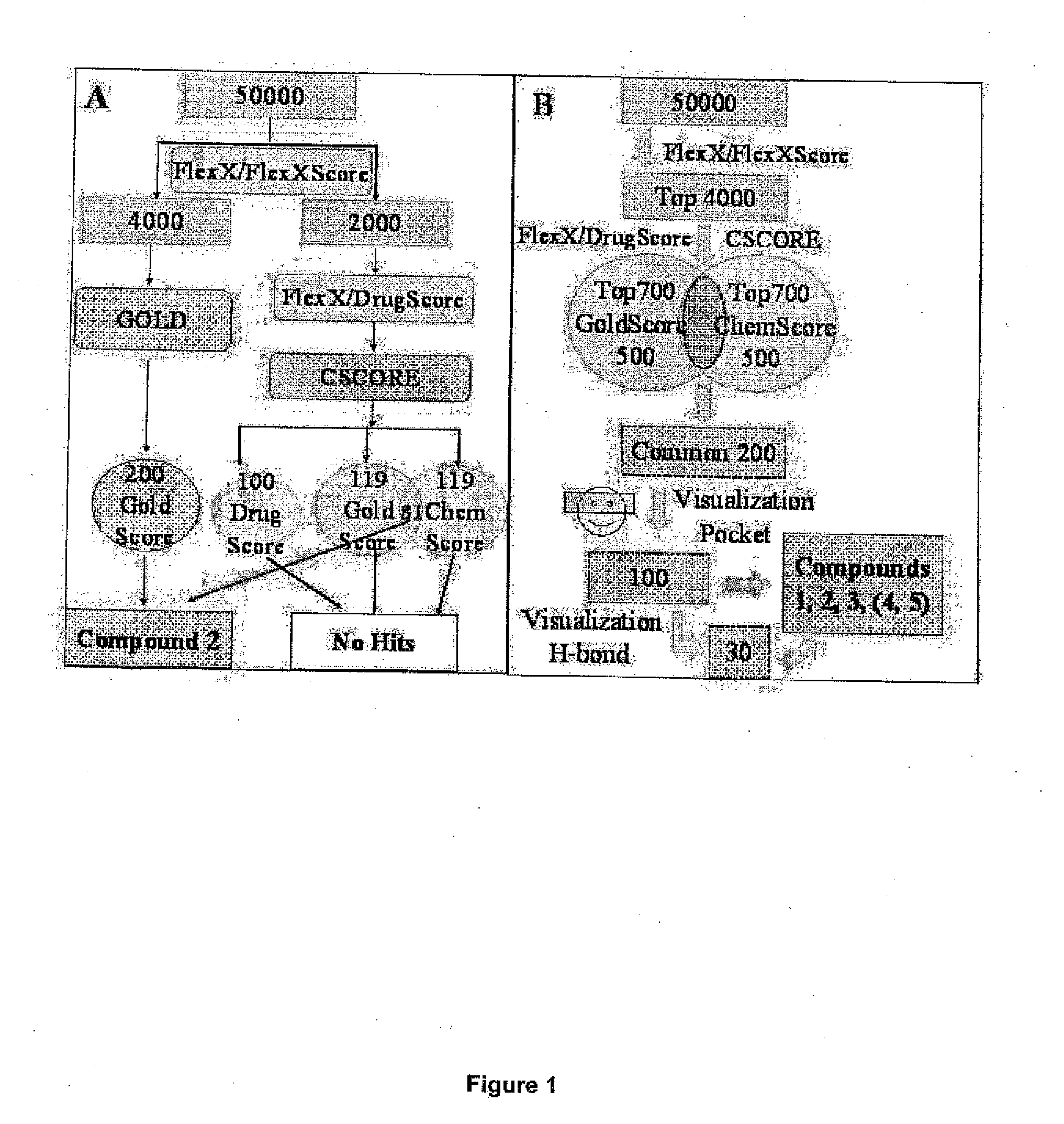 Screening methods for protein kinase b inhibitors employing virtual docking approaches and compounds and compositions discovered thereby