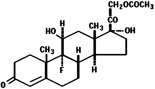 Fludrocortisone acetate oral cavity instant film agent and preparation method thereof