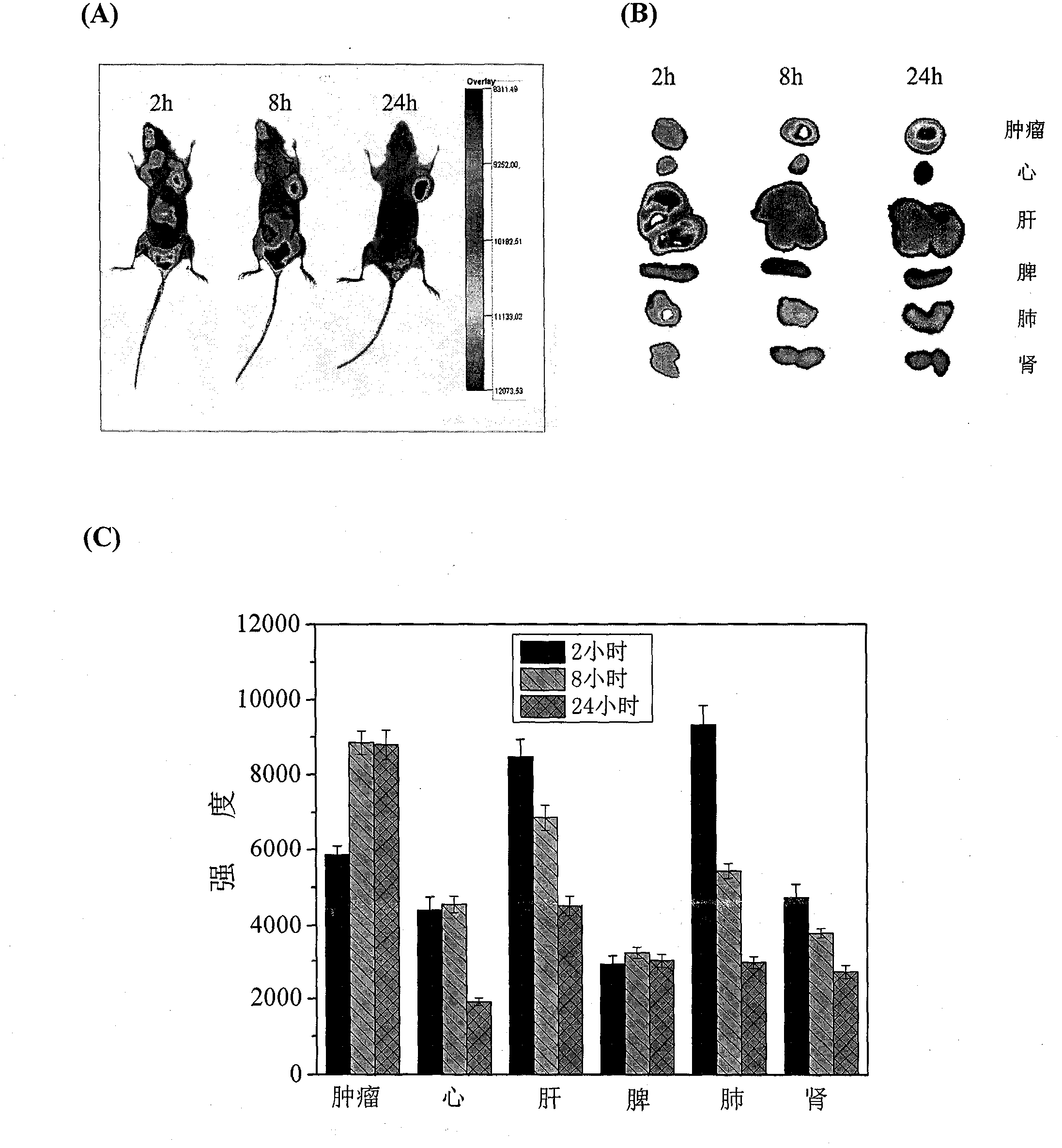 Preparation method and application of nanometer particles of taxane drugs