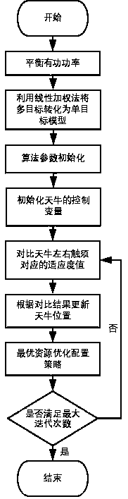 Optimal allocation of active distribution network resources based on Tianniuxiu algorithm