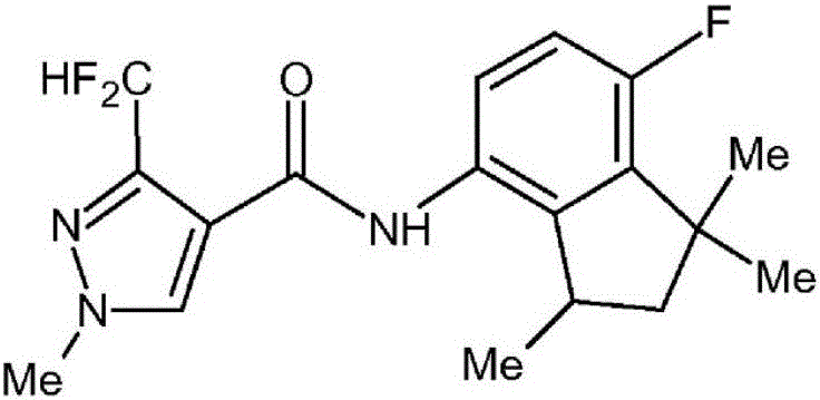 Sterilizing composition containing gliotoxin and pyrazol indanyl formamide