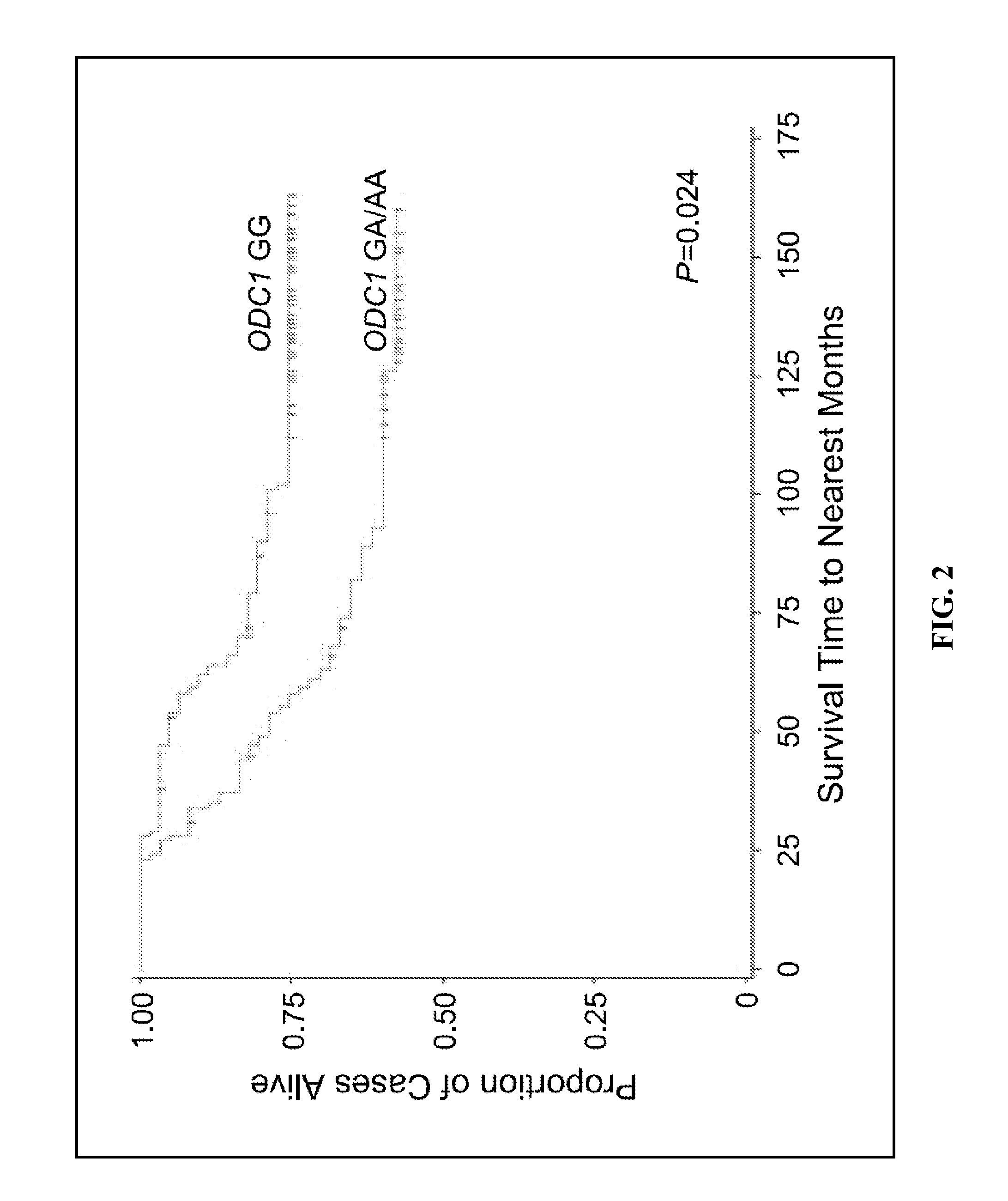 Carcinoma diagnosis and treatment, based on ODC1 genotype