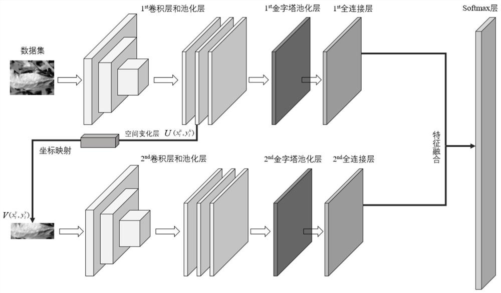 Crop disease and pest detection and prevention device and method based on image and deep learning