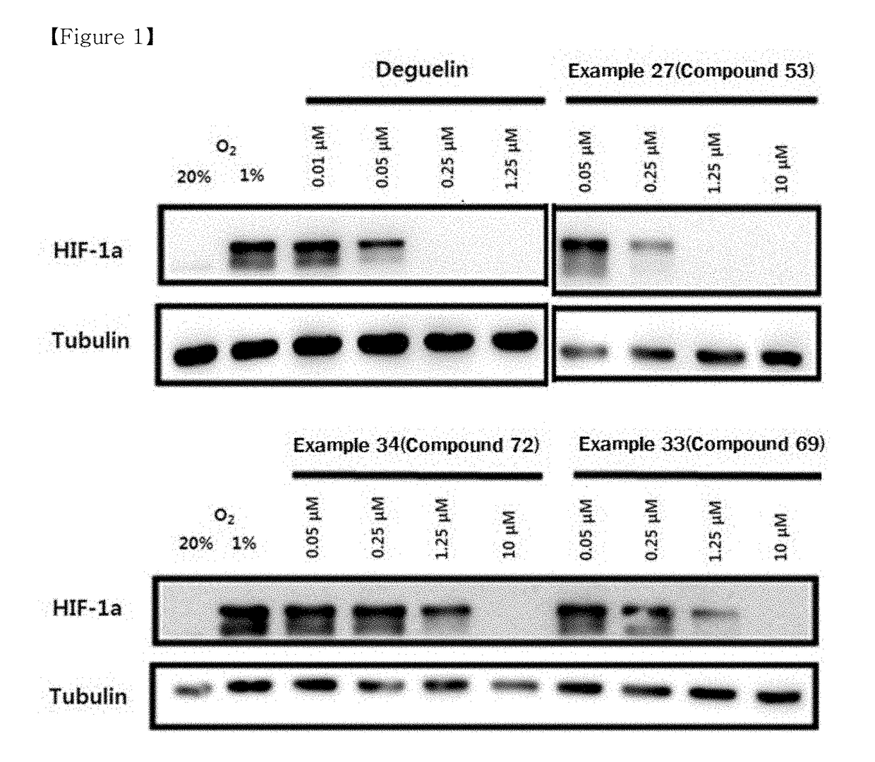 Compound or pharmaceutically acceptable salt thereof, and pharmaceutical composition containing same as active ingredient