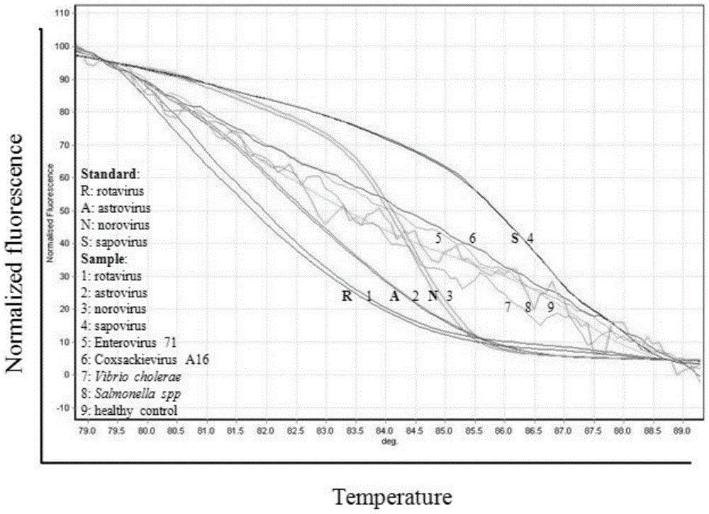 Primer group and kit for simultaneously detecting four diarrhea viruses