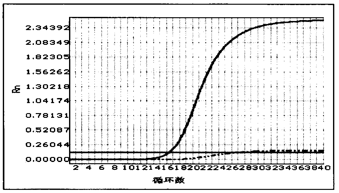 Method and kit for detecting mutation of PDS gene IVS7-2A&gt;G by using fluorescence PCR technology