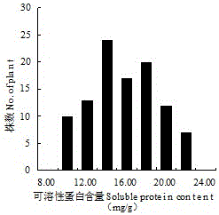 Strong winterness brassia campestris L. soluble protein content molecular markers and QTL location