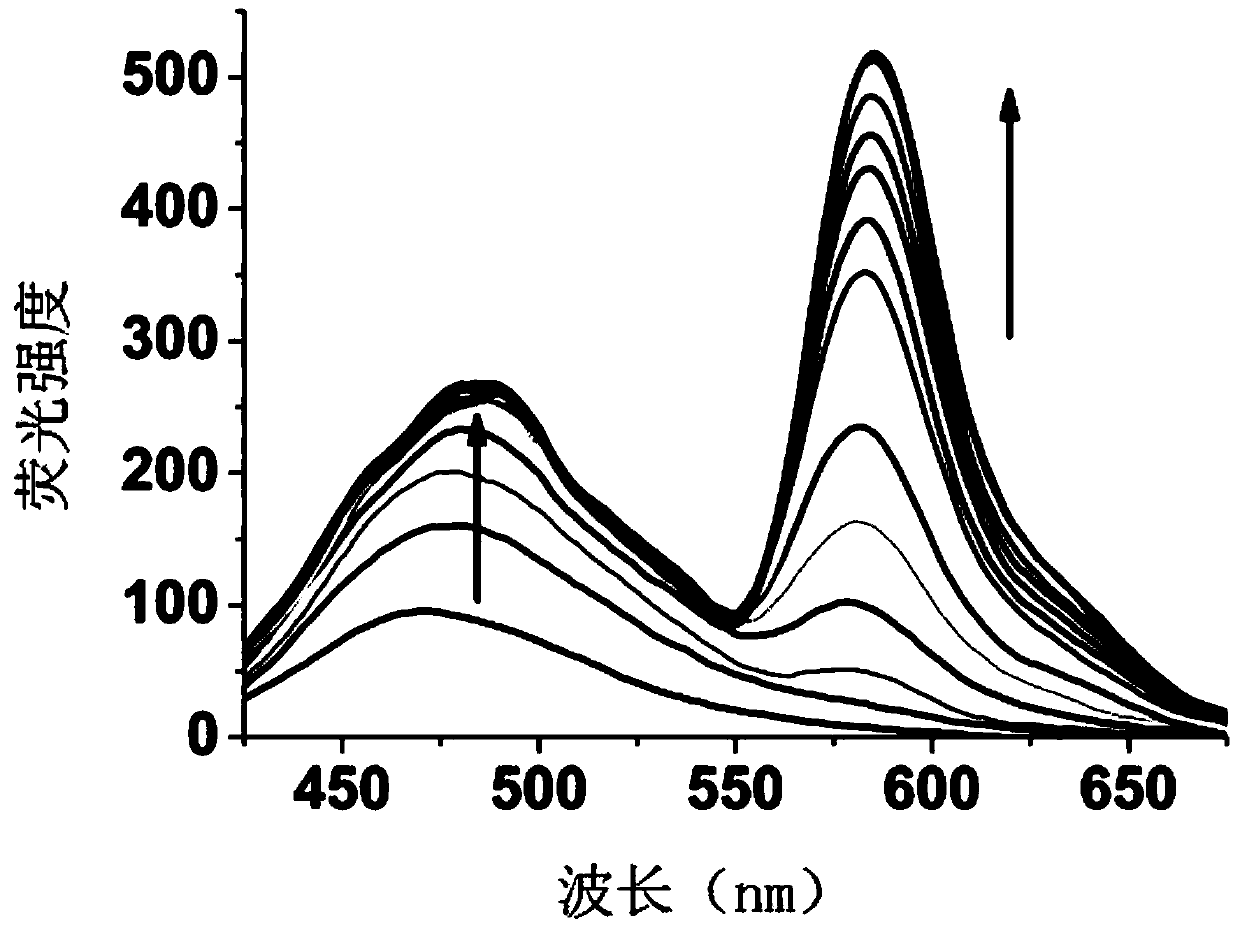 A kind of compound and its application based on naphthalimide-rhodamine