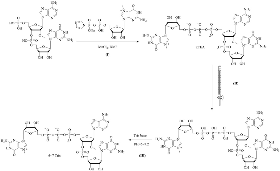 Capped composition as well as preparation method and in-vitro transcription reaction system thereof