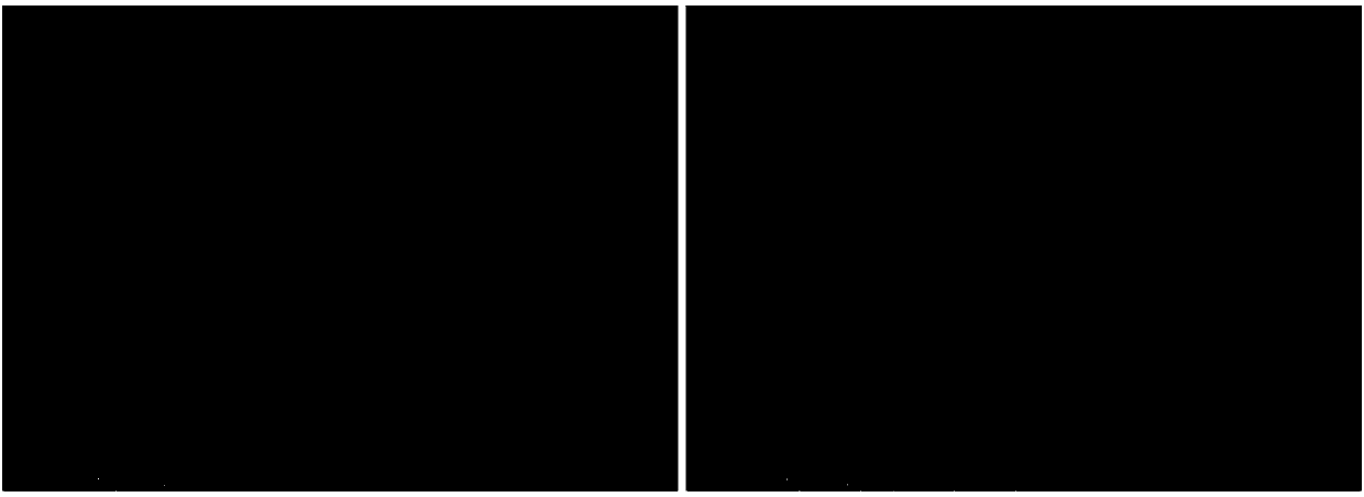 Preparation method of submicron potassium nitrate fiber