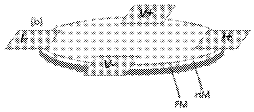 Method for providing a magnetic sensor with a biasing spin-orbit effective field