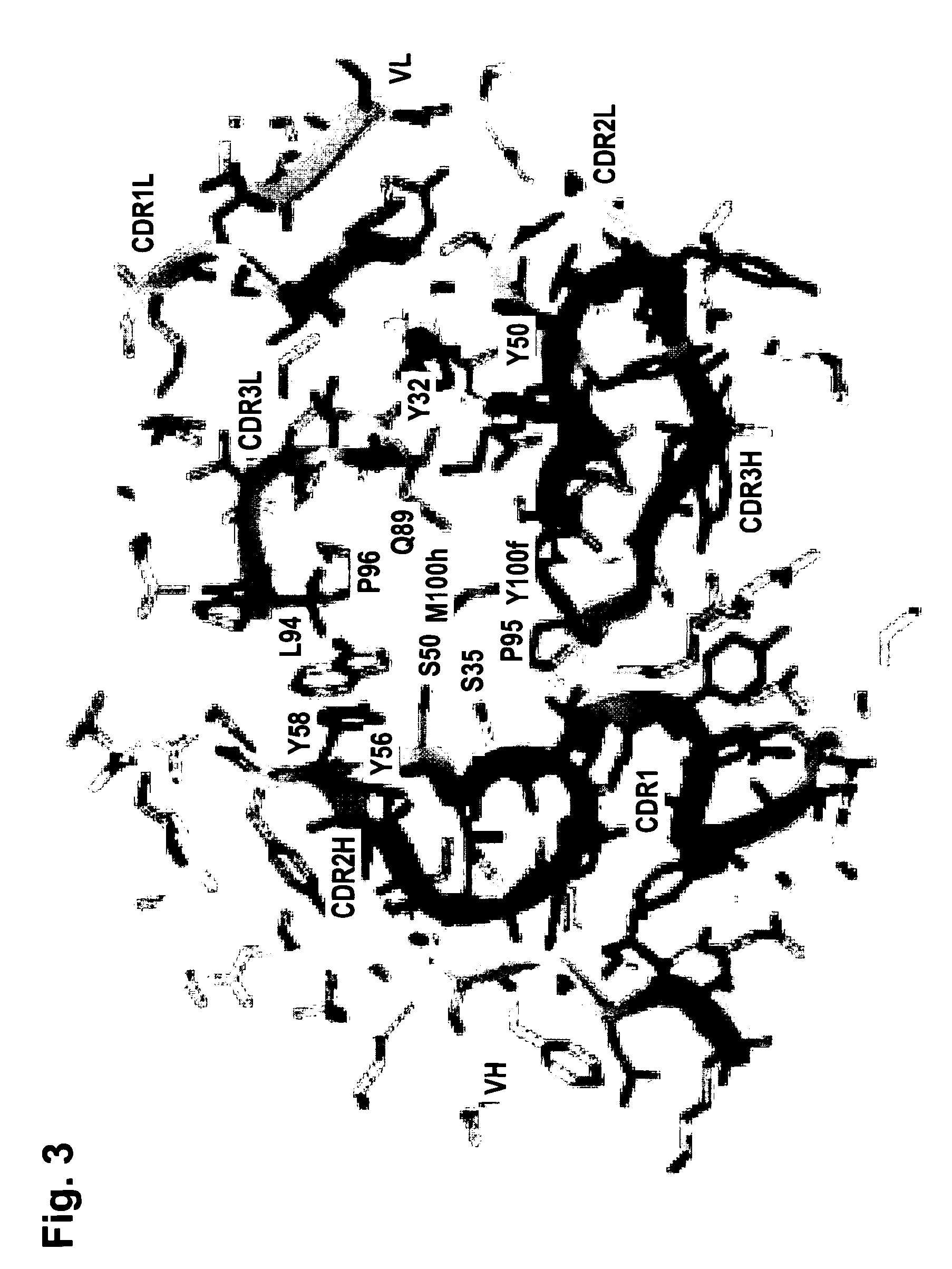 Complex of bi-specific antibody and digoxigenin conjugated to a therapeutic or diagnostic agent