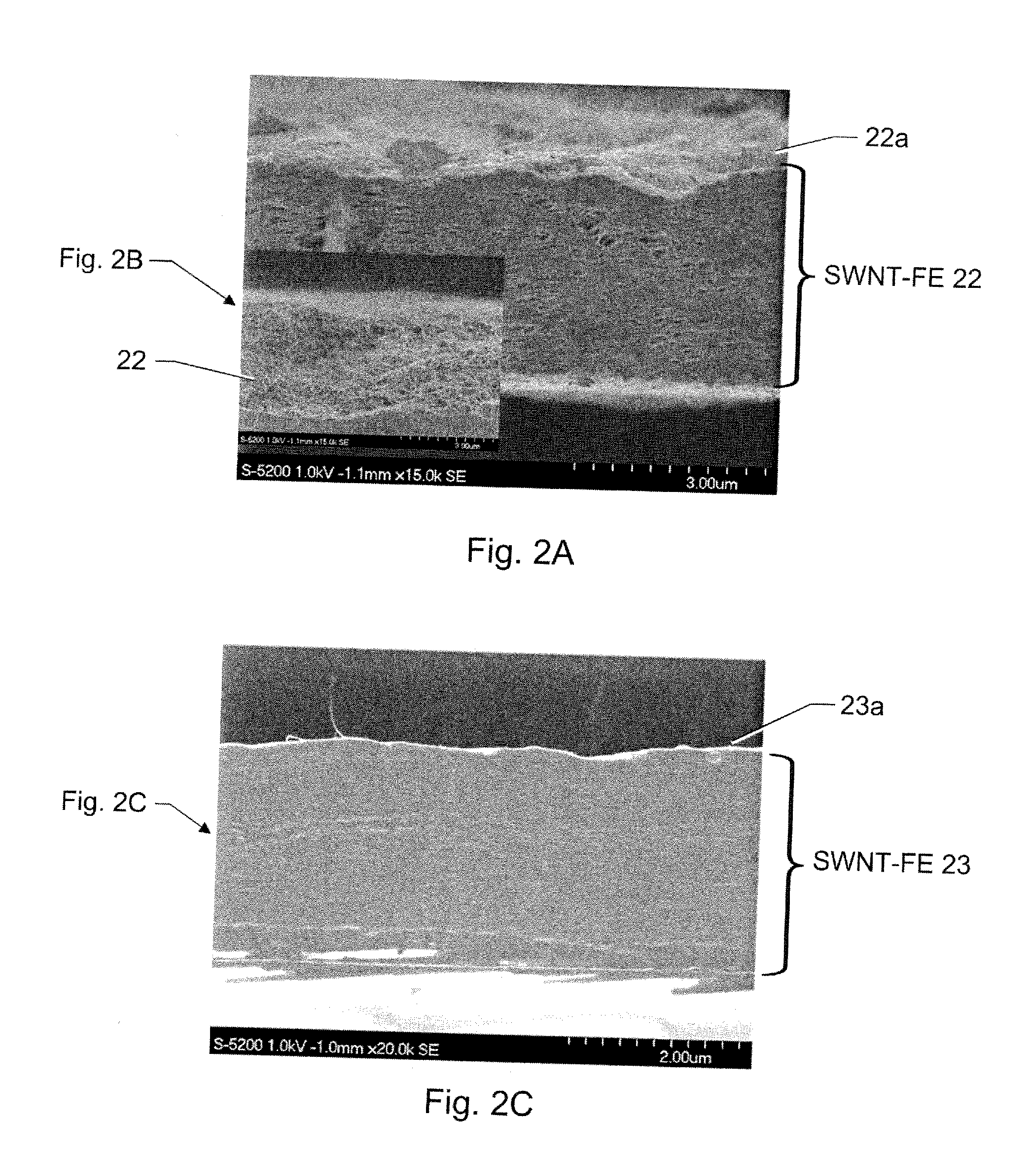 Nanotube Film Electrode and an Electroactive Device Fabricated with the Nanotube Film Electrode and Methods for Making Same