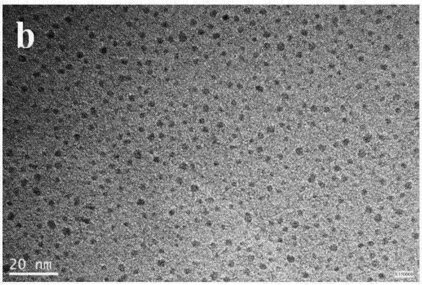 Preparation method for chlorine-doped carbon quantum dot/g-C3N4 nano sheet composite material for high-effectively degrading antibiotics