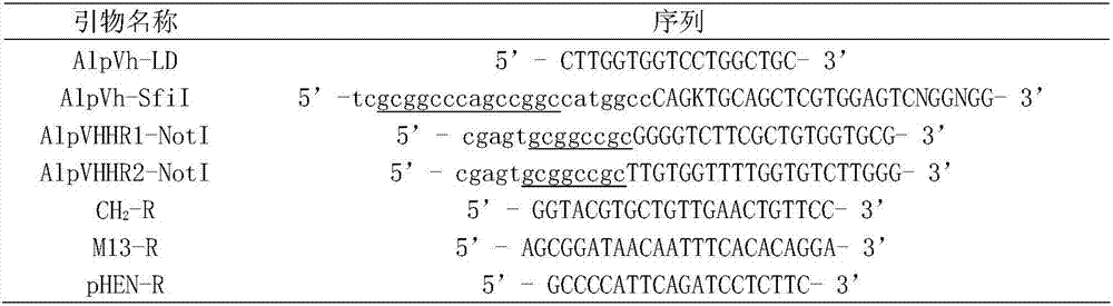 Single domain heavy chain antibody capable of specifically combining c-Myc tag