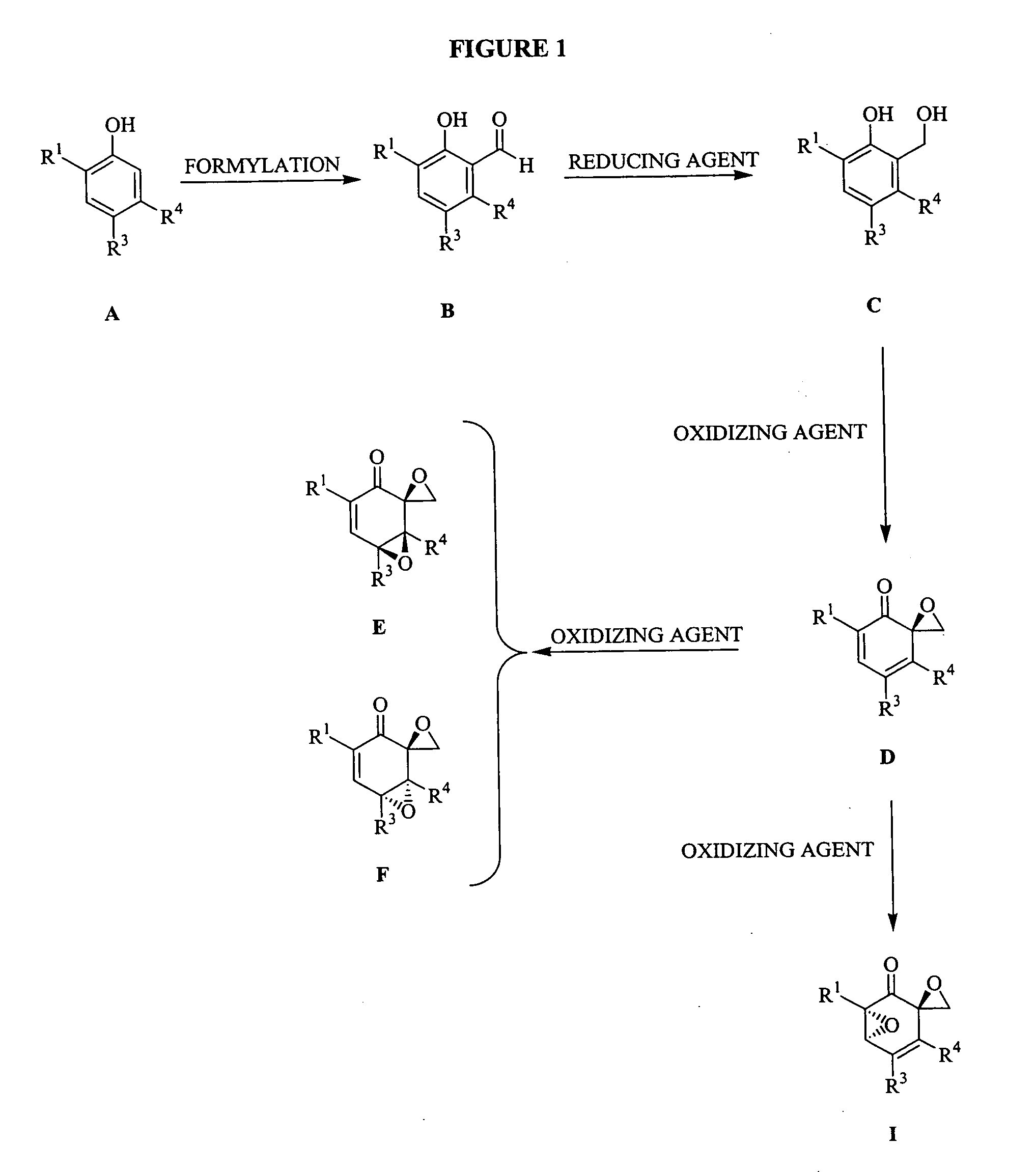 Triptolide analogs for the treatment of autoimmune and inflammatory disorders