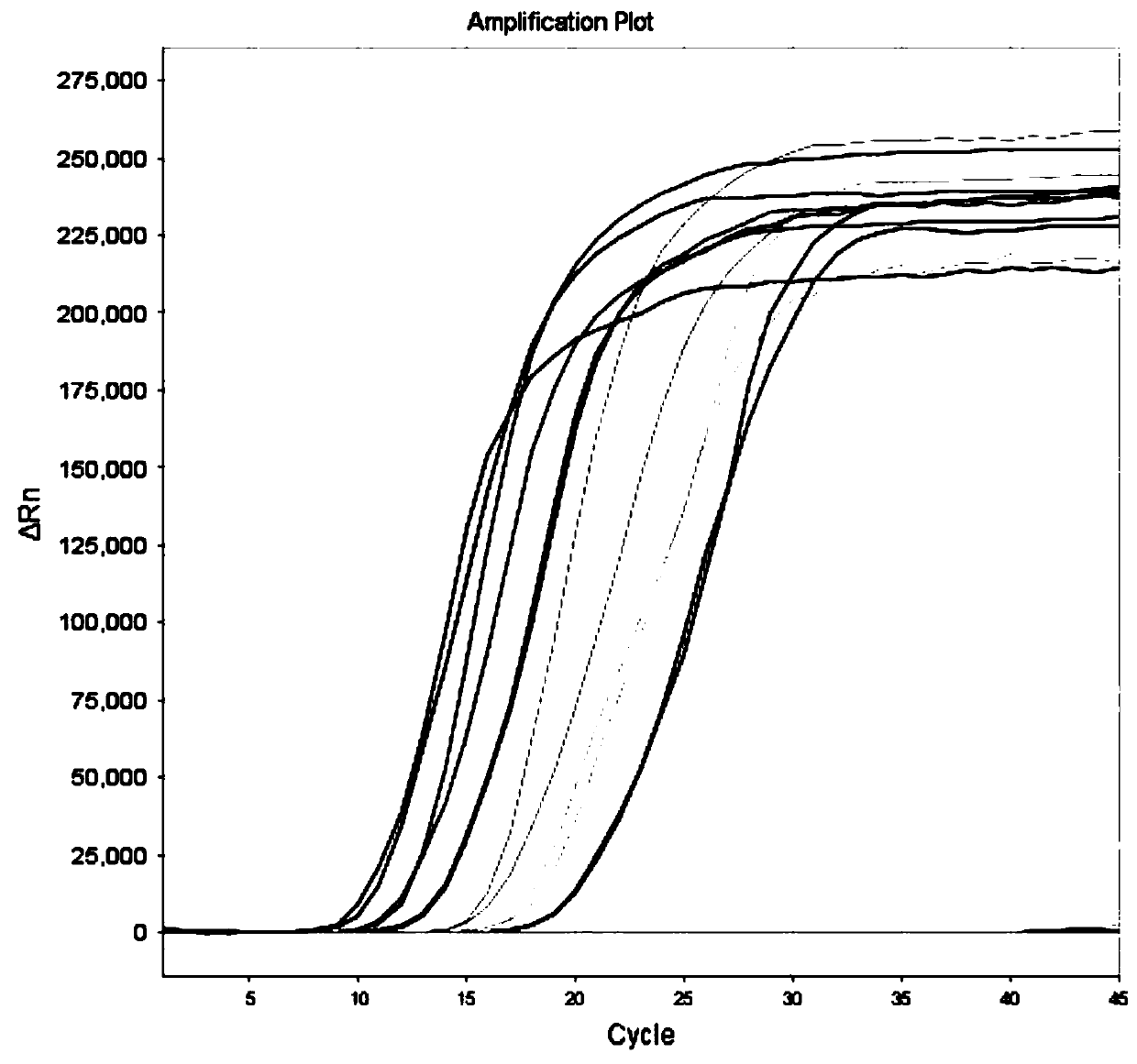 LAMP (loop-mediated isothermal amplification) detection primer group, kit and detection method for letalurus punetaus herpesviruses