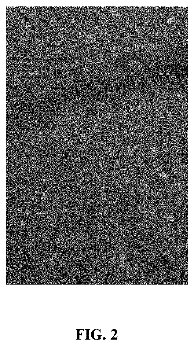 Targeted control of pests and pathogens by plant delivery of 2'F-ANA-oligonucleotides