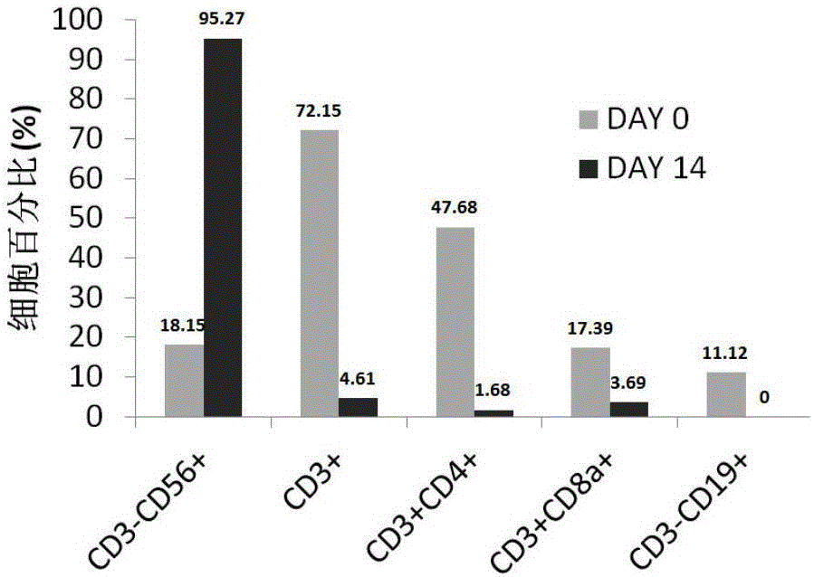 Method of extracorporeal induction, proliferation and cryopreservation of immune cells