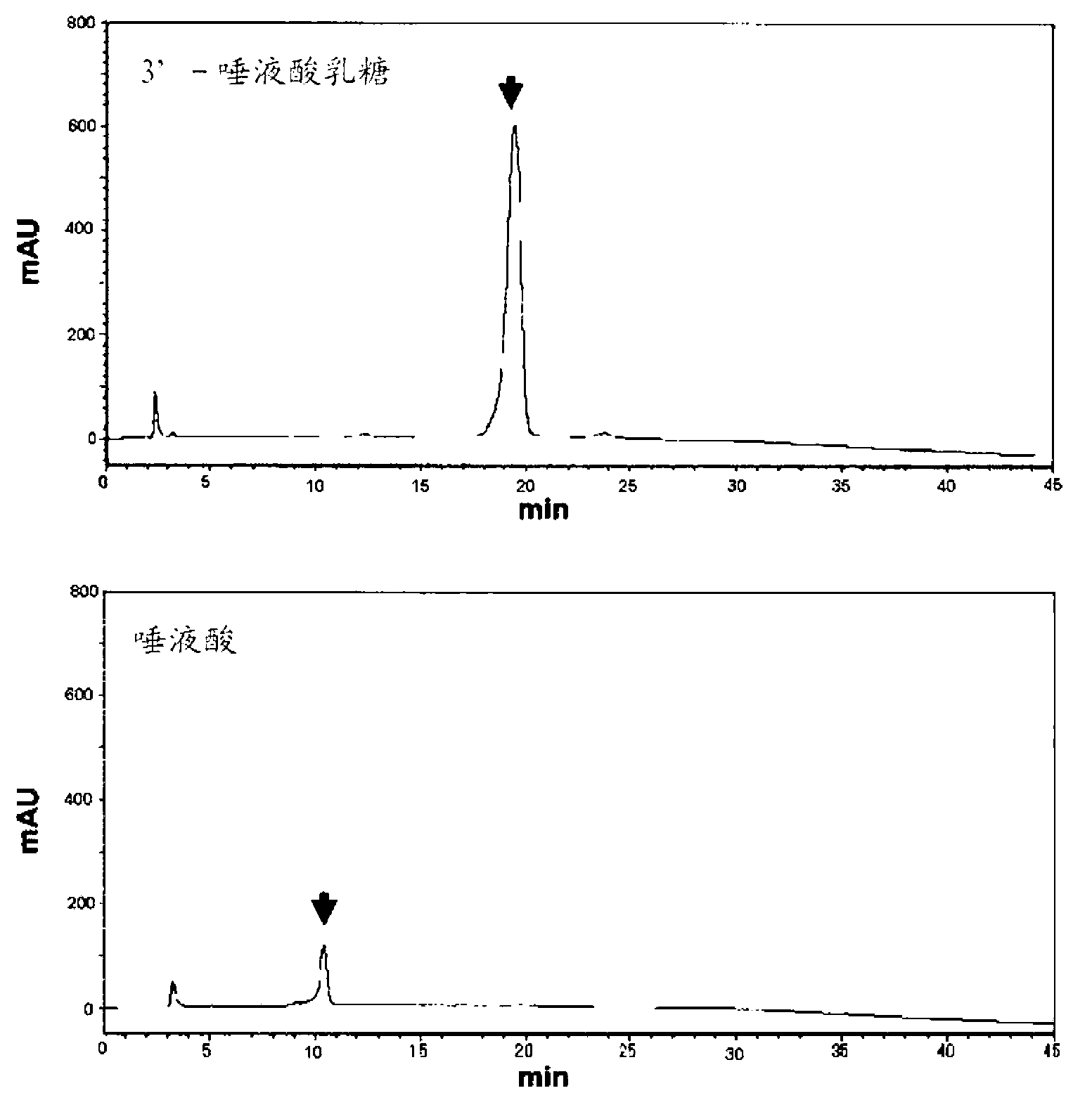 Novel enzyme protein, process for production of enzyme protein, and gene encoding enzyme protein